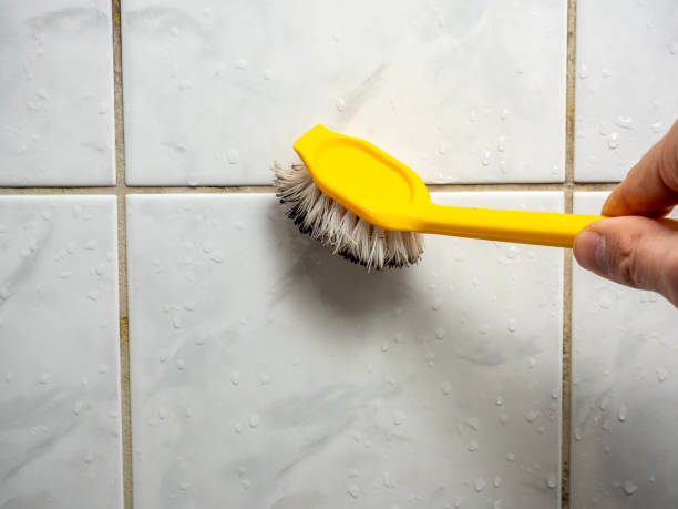 Best Emergency Mold Remediation in Maple Heights Lake Desire, WA