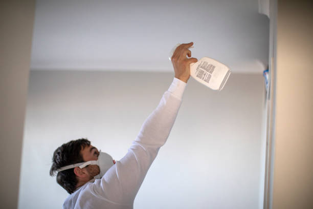 Professional Mold Remediation in Maple Heights Lake Desire, WA