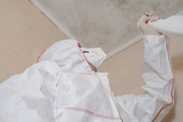 Best Emergency Mold Remediation in Maple Heights Lake Desire, WA