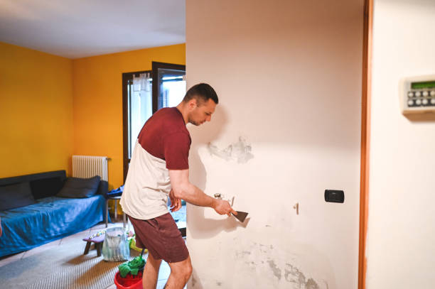 Professional Mold Remediation in Maple Heights Lake Desire, WA